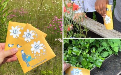 HLB Community Day – 1000 Quadratmeter Blumenwiese