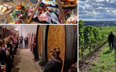 HLB HUSSMANN erkundet die fränkische Weinregion!