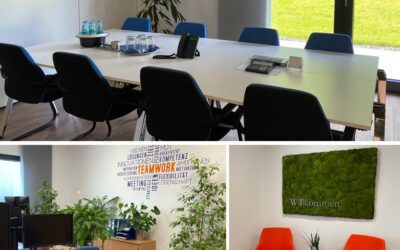 HLB HUSSMANN verstärkt Präsenz in der Oberpfalz